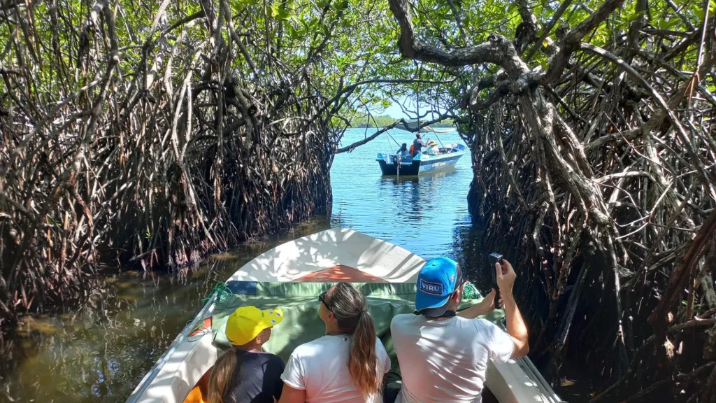 madu-river-boat-safari.jpg