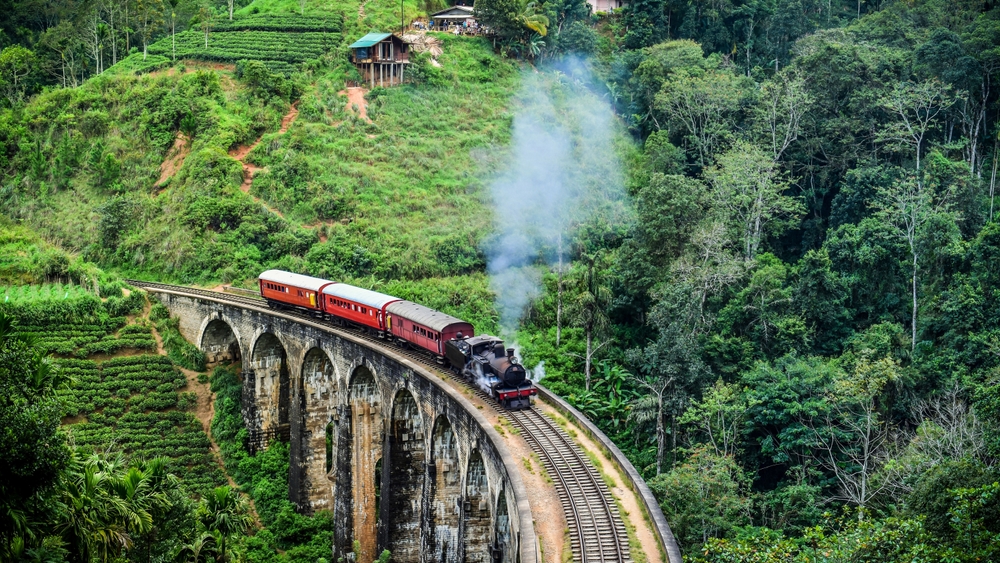 experience-train-ella.jpg