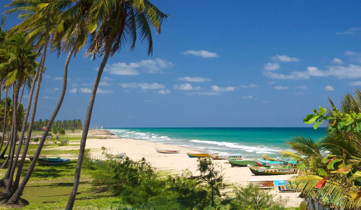 trinco-beach.jpg
