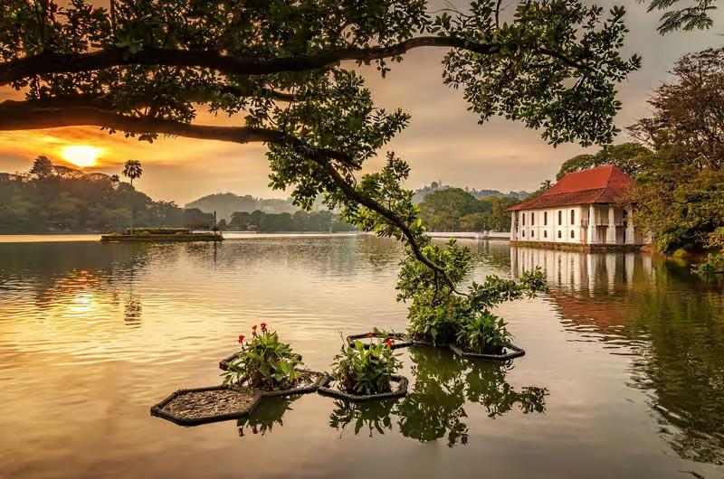 kandy-view.jpg